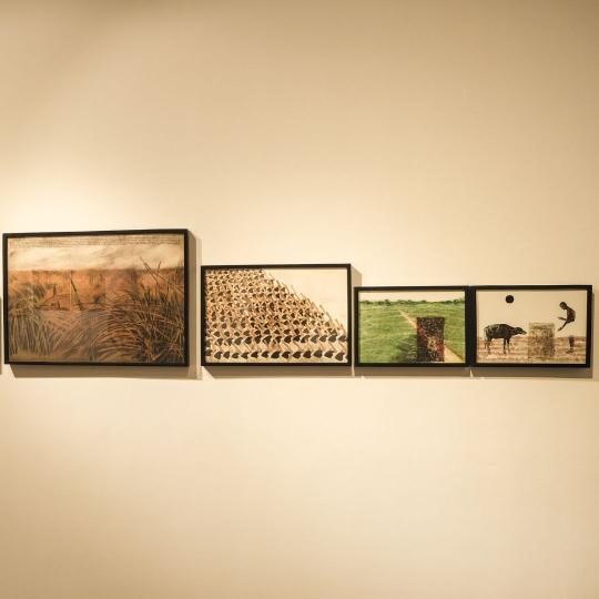 Sanal artwork